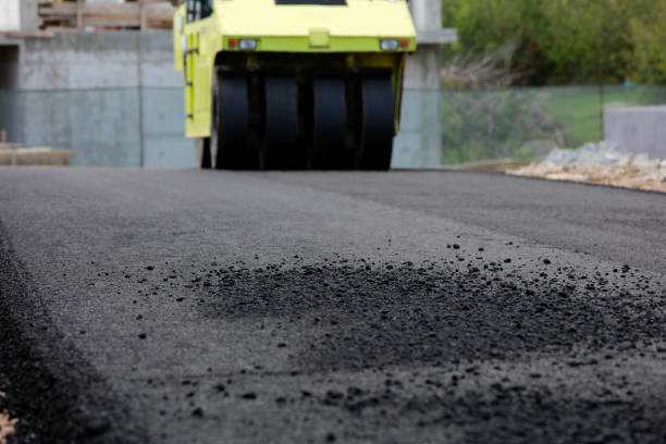 Best Driveway Paving Contractor  in Tuscoosa, AL